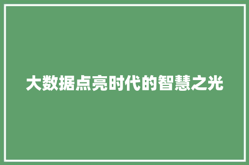 大数据点亮时代的智慧之光