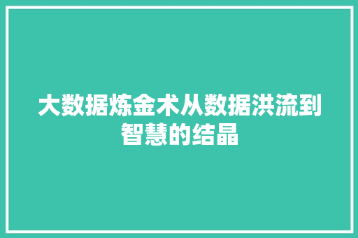 大数据炼金术从数据洪流到智慧的结晶