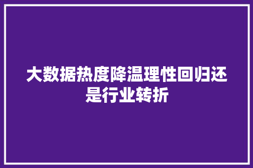 大数据热度降温理性回归还是行业转折