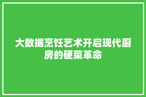 大数据烹饪艺术开启现代厨房的硬菜革命