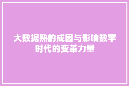 大数据熟的成因与影响数字时代的变革力量