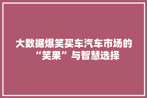 大数据爆笑买车汽车市场的“笑果”与智慧选择 大数据爆笑买车汽车市场的“笑果”与智慧选择