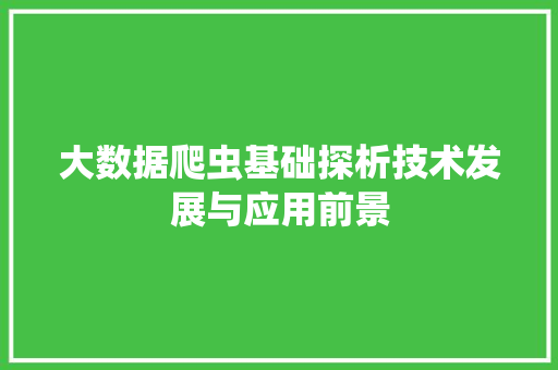 大数据爬虫基础探析技术发展与应用前景