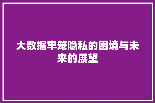 大数据牢笼隐私的困境与未来的展望