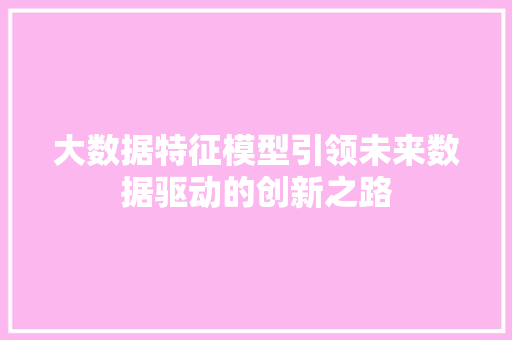 大数据特征模型引领未来数据驱动的创新之路