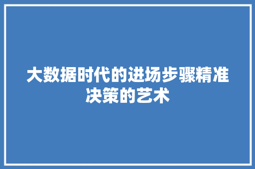 大数据时代的进场步骤精准决策的艺术 大数据时代的进场步骤精准决策的艺术