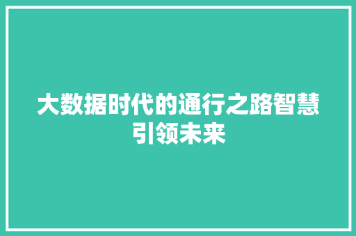 大数据时代的通行之路智慧引领未来