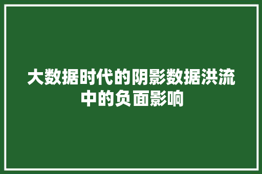 大数据时代的阴影数据洪流中的负面影响 编程语言