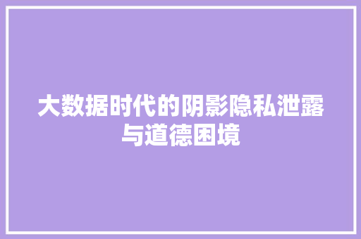 大数据时代的阴影隐私泄露与道德困境