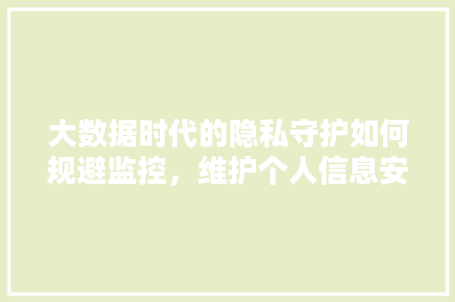大数据时代的隐私守护如何规避监控，维护个人信息安全
