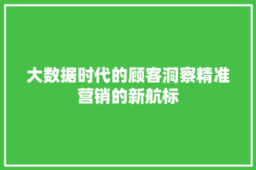 大数据时代的顾客洞察精准营销的新航标