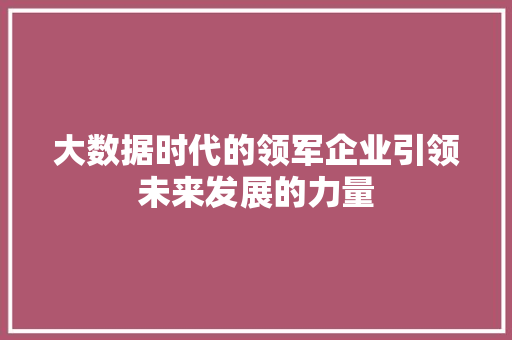 大数据时代的领军企业引领未来发展的力量 大数据时代的领军企业引领未来发展的力量