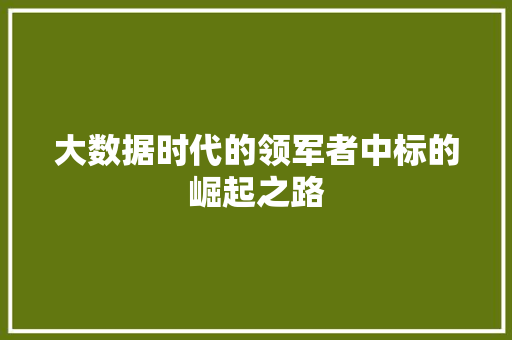 大数据时代的领军者中标的崛起之路 大数据时代的领军者中标的崛起之路