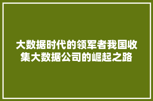 大数据时代的领军者我国收集大数据公司的崛起之路 大数据时代的领军者我国收集大数据公司的崛起之路
