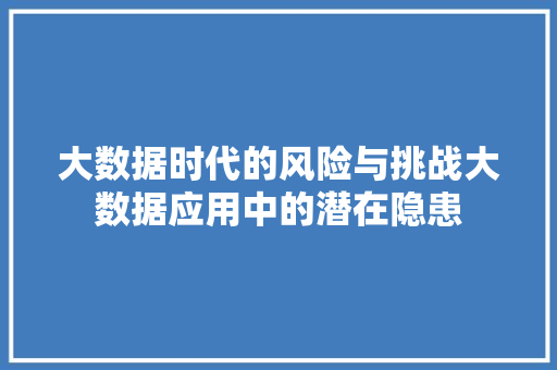 大数据时代的风险与挑战大数据应用中的潜在隐患