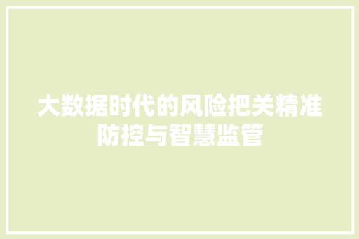 大数据时代的风险把关精准防控与智慧监管