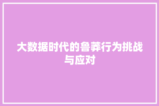 大数据时代的鲁莽行为挑战与应对