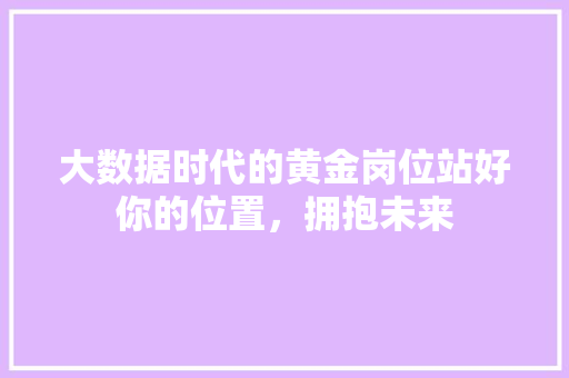 大数据时代的黄金岗位站好你的位置，拥抱未来