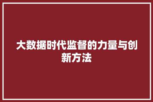 大数据时代监督的力量与创新方法