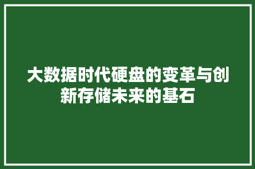大数据时代硬盘的变革与创新存储未来的基石 大数据时代硬盘的变革与创新存储未来的基石