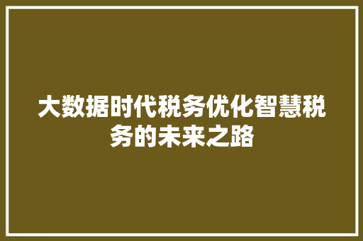 大数据时代税务优化智慧税务的未来之路 大数据时代税务优化智慧税务的未来之路