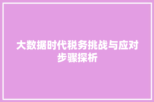 大数据时代税务挑战与应对步骤探析 大数据时代税务挑战与应对步骤探析