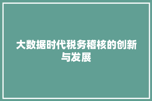 大数据时代税务稽核的创新与发展
