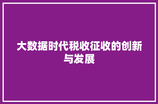 大数据时代税收征收的创新与发展