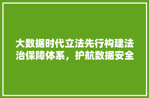 大数据时代立法先行构建法治保障体系，护航数据安全与发展