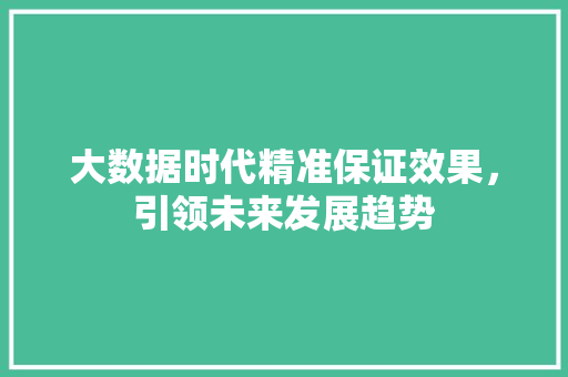 大数据时代精准保证效果，引领未来发展趋势