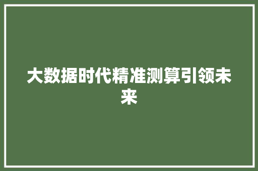 大数据时代精准测算引领未来