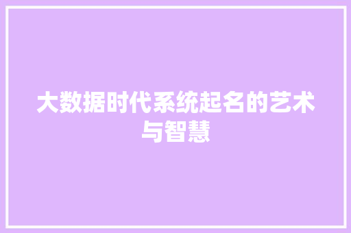 大数据时代系统起名的艺术与智慧