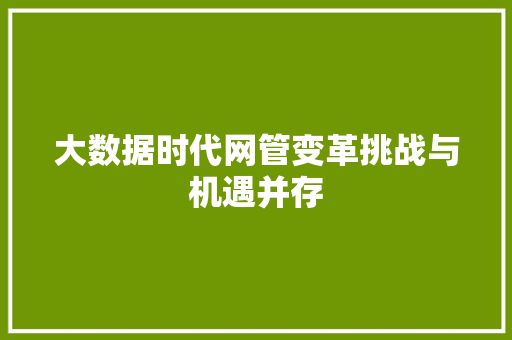 大数据时代网管变革挑战与机遇并存