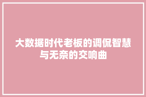 大数据时代老板的调侃智慧与无奈的交响曲 大数据时代老板的调侃智慧与无奈的交响曲
