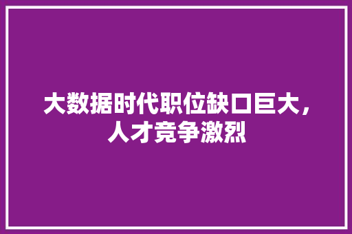 大数据时代职位缺口巨大，人才竞争激烈