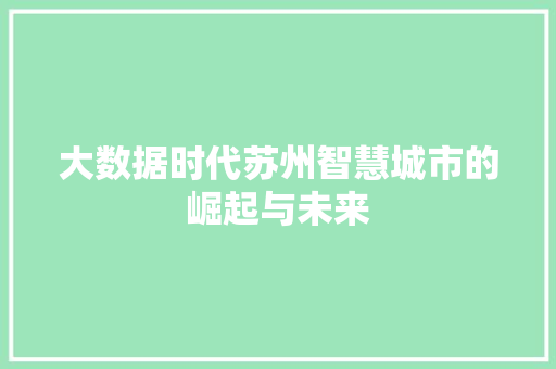 大数据时代苏州智慧城市的崛起与未来