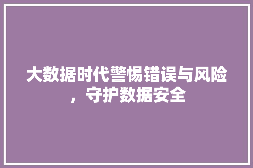 大数据时代警惕错误与风险，守护数据安全