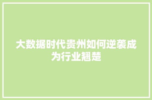 大数据时代贵州如何逆袭成为行业翘楚
