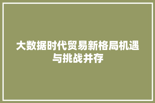 大数据时代贸易新格局机遇与挑战并存
