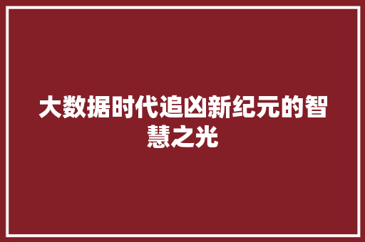 大数据时代追凶新纪元的智慧之光