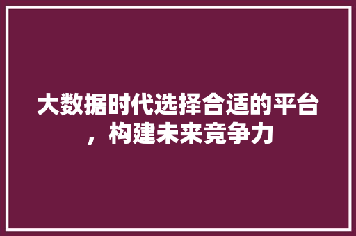 大数据时代选择合适的平台，构建未来竞争力