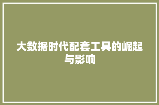 大数据时代配套工具的崛起与影响