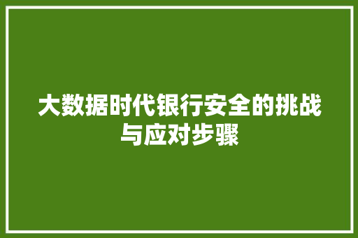 大数据时代银行安全的挑战与应对步骤