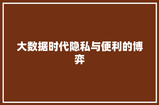 大数据时代隐私与便利的博弈