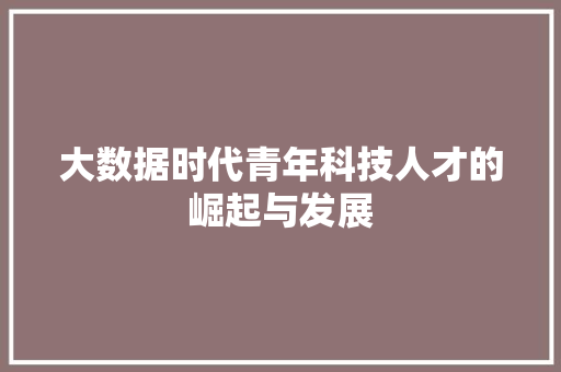 大数据时代青年科技人才的崛起与发展