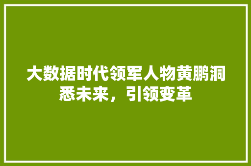 大数据时代领军人物黄鹏洞悉未来，引领变革