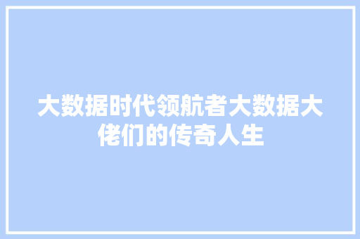 大数据时代领航者大数据大佬们的传奇人生