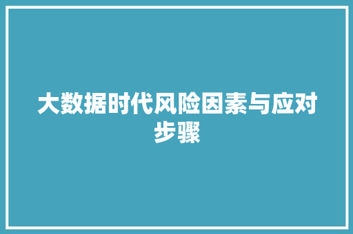 大数据时代风险因素与应对步骤