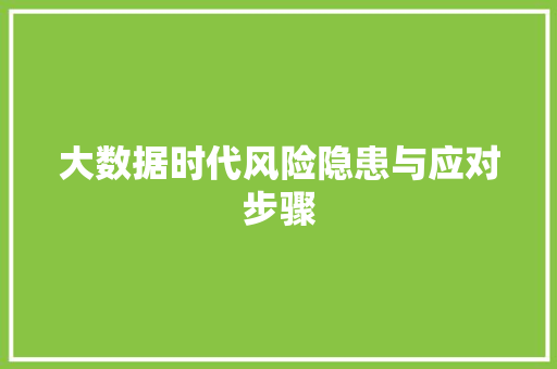 大数据时代风险隐患与应对步骤