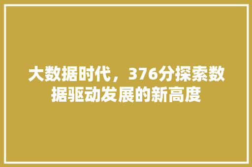 大数据时代，376分探索数据驱动发展的新高度